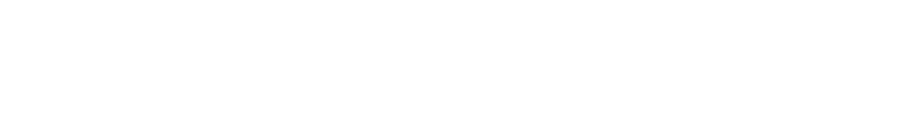 PERCEPTO_LOGO_SECONDARY_White